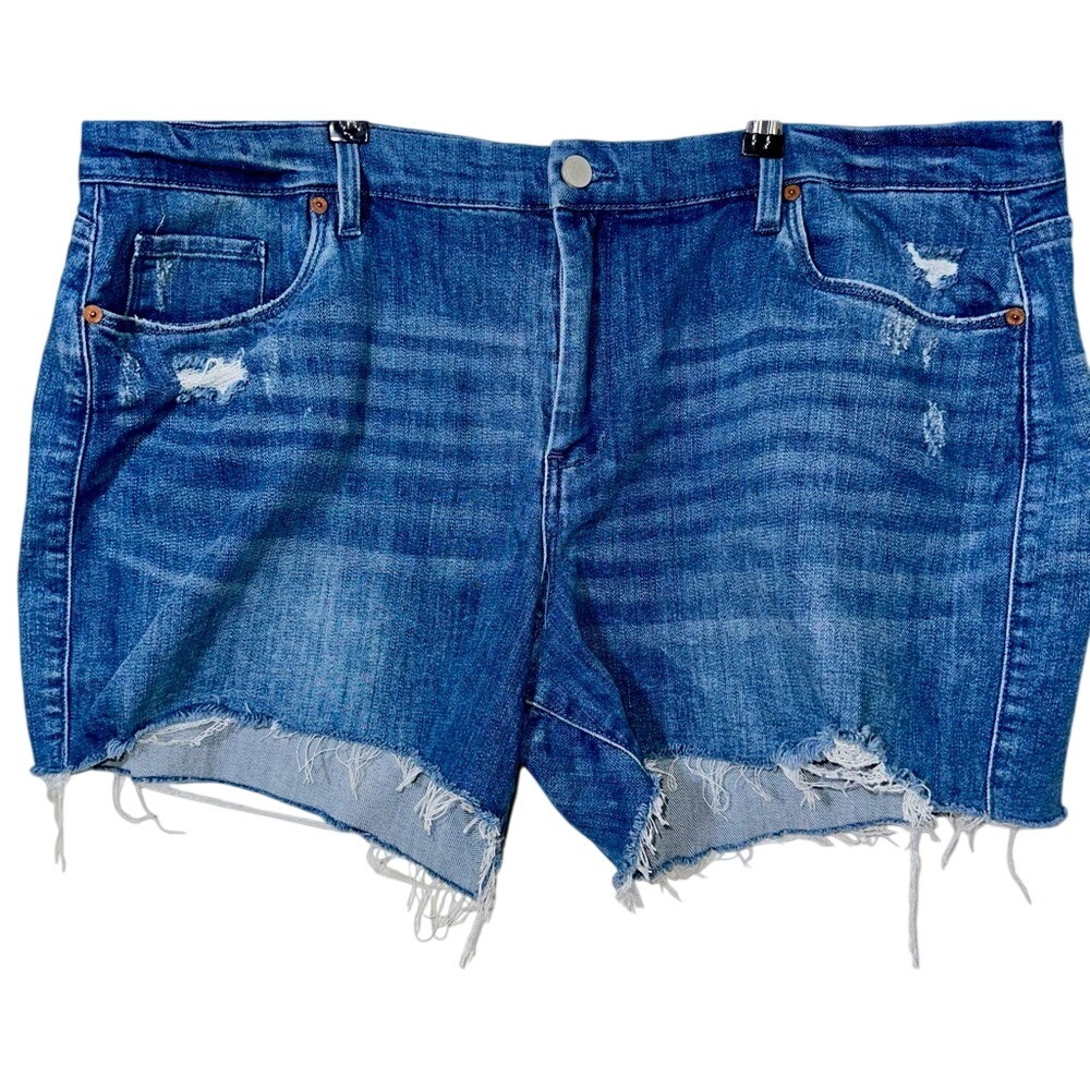 EUC BLANKNYC Denim Shorts (The‎ Astor) - size 22W